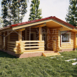 Проект бани из бревна БО021 - Строительство домов под ключ